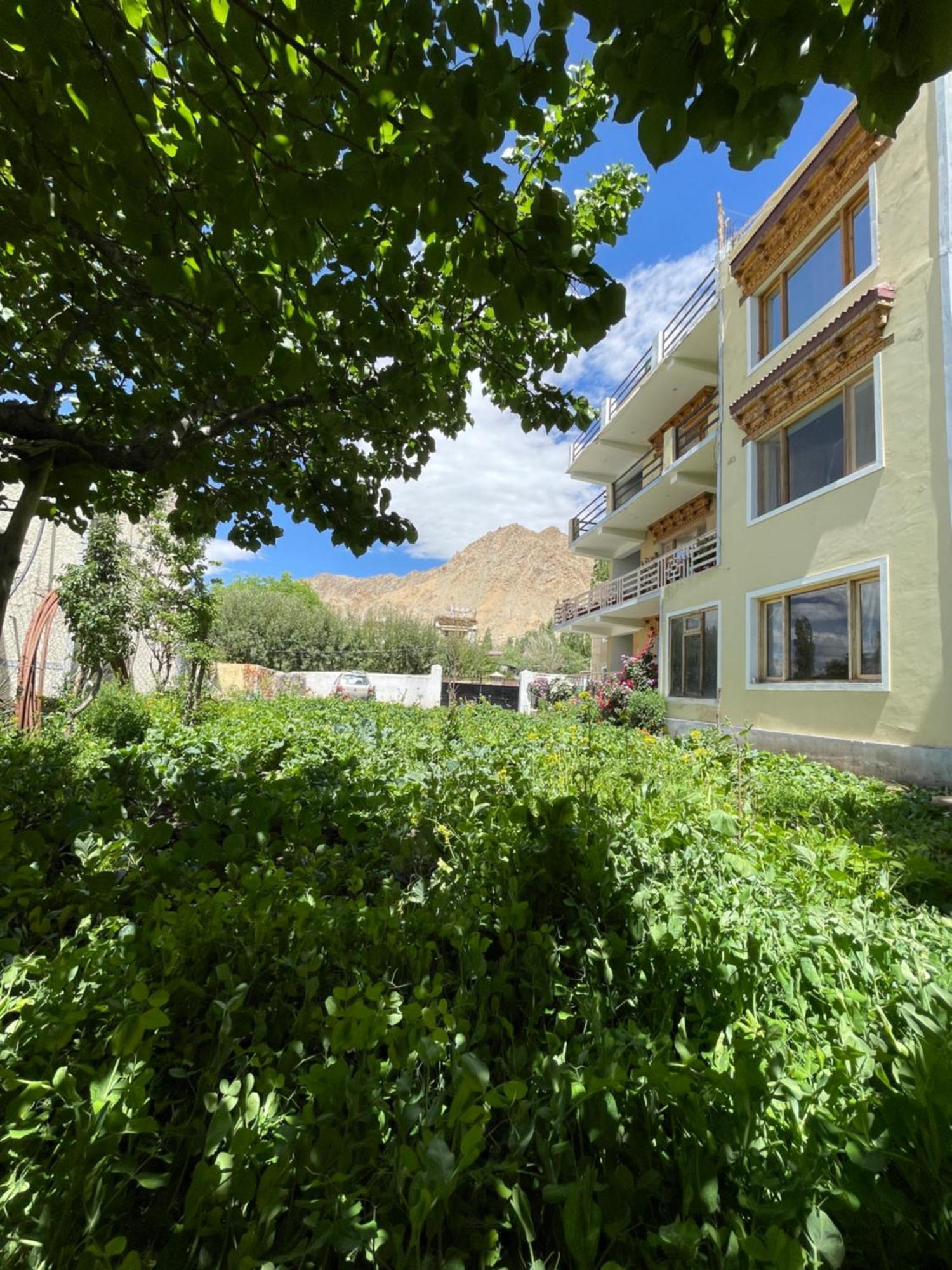 Zlatan Guest House Leh Exterior foto